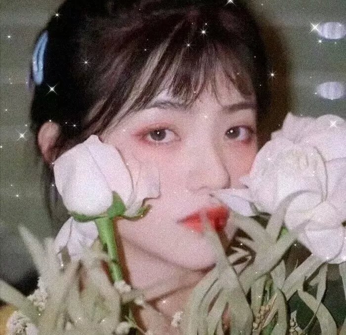 风流戏王